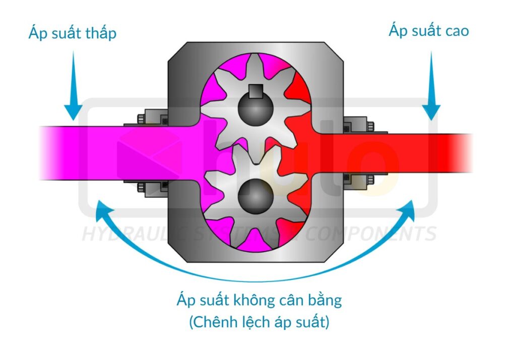 Áp suất không cân bằng trong bơm bánh răng